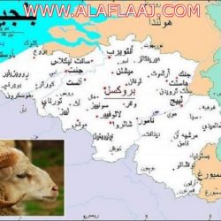 محافظ الأفلاج يرفع التهاني للقيادة بمناسبة حلول عيد الأضحى واليوم الوطني