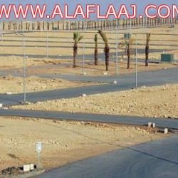 المفتي يخاطب الجهات العليا لوقف إلزام الفتيات بالابتعاث الخارجي