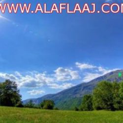 الصحة تغير شعارها من “(لمريض أولا) إلى (صحة المواطن أولا)