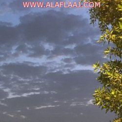 إمرأة وطفلها يثيران الرعب في غيل الأفلاج