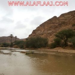 وفاة أكبر معمر في الأفلاج وأحد أفراد الجيش في عهد المؤسس