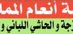 المرشح رقم (10)