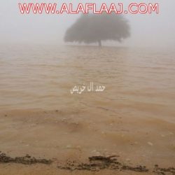 جمعية التنمية الأسرية تقيم دورة لمنسوبي الجمعيات الخيرية