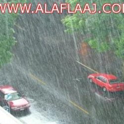 العقيد أديب الحميضي مديرآ لشعبة أمن المحاكم الشرعية بالرياض