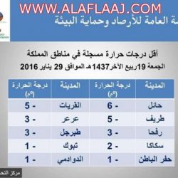 الداخلية”: سنعلن اسمي منفذي تفجير الإحساء بعد التحقق من هويتيهما