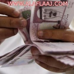 رئيس الهيئات”: الاجتهاد الشخصي مرفوض.. والعمل يكون وفق التعليمات