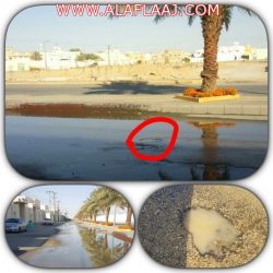 ترقية الحقباني والمواش من الدفاع المدني