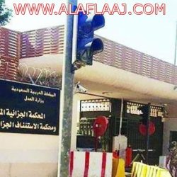 الدوريات الأمنية تطيح بمروج مخدرات بحوزته ١٢٠٠ حبة كبتاجون