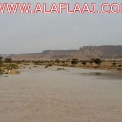 عواصف رعدية وأمطار متوسطة على الأفلاج   … بالصور