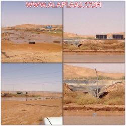 متوسطة وثانوية تحفيظ القرآن تكرم الشيخ مبارك آل مسيعد