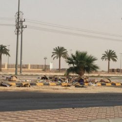 غدآ بداية العمل بالدوام الصيفي للمدارس