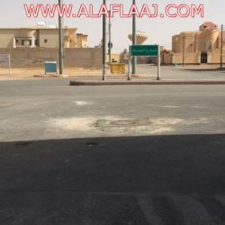 المحافظ ومدير التعليم يدشنون المشروع الوطني لحماية البيئة