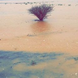 توقعات بهطول أمطار رعدية على بعض المناطق