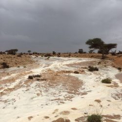 بالصور : لليوم الثالث على التوالي الأفلاج تعيش تحت السحاب بـ أمطار ديمية متوسطة