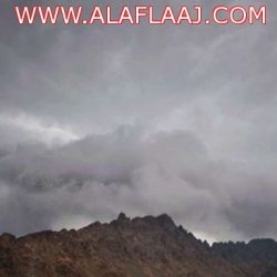 عاجل : مستشفى الأفلاج يستقبل 11 مصاباً ووفاة في حادث النقل الجماعي تحديث : ١٠:٠٠ ص