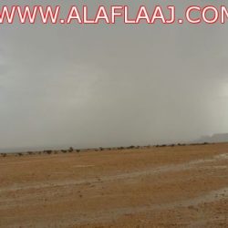 يا مسؤلين أنقذو المتسوقين من كارثة كهرباء سوق الخضار