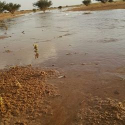 بالأفلاج : طفل الخمس سنوات يحفظ ثلاثة أجزاء من القرآن