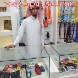 عصف ذهني» اقتصادي بين المملكة ومصر..