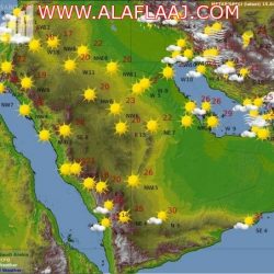 عضو شورى: البنوك تستخدم الهيئات الشرعية لمضاعفة أرباحها