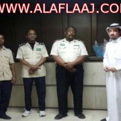 جمال نافقة تثير استياء مرتادي سوق الإبل ومحافظ الأفلاج يتفاعل