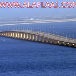 مواطنون من وسط الحوادث يا رئيس الهلال الأحمر فقدنا أقرباءنا ونحن ننظر لهم بدون حيلة