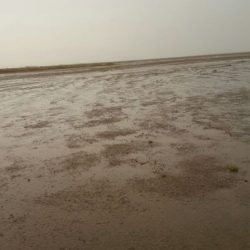 صحف سودانية تتفاعل مع تكريم لجنة تنمية الأفلاج لطبيب سوداني أنقذ مصابة