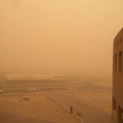 مصادر : مساعي مدير مستشفى الأفلاج تنجح في تعميد الشراء المباشر بمبلغ تجاوز المليون ريال وتعاقد مع شركة جديدة بمبلغ ١٦ مليون