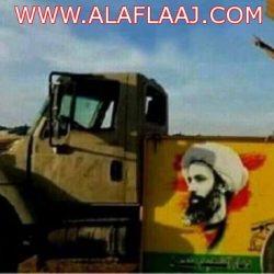 شاهد.. 20 ألف نحلة تطارد سيارة على مدى يومين لـ”استعادة الملكة”