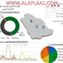مواطن يصطدم بذئب بدلاً من الجمال على طريق الغيل ستارة