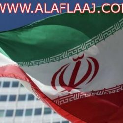 بالصور : لجنة تنمية البديع بالأفلاج تحتفل بـ فرحة عيد في مهرجان البديع الاجتماعي