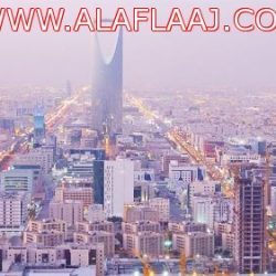 افتتاح فطيرة التوت وعرض كل يوم ثلاثاء ٥٠٪‏