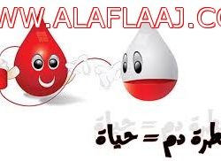 البلديات تقر السماح ببناء 12 دوراً في المدن الصغرى والمتوسطة