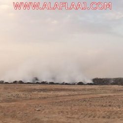 الشاب خليفة بن علي آل مبارك عريساً