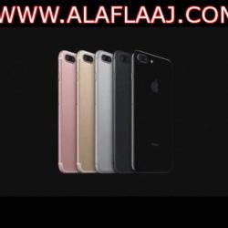 الشيخ المنيع: لا ولاية على المرأة إلا في الزواج.. والإسلام كفل لها إدارة شؤونها بنفسها