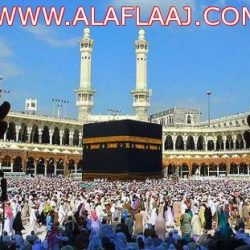 الزايد يعتمد توجيه 29 معلم جديد إلى مدارسهم
