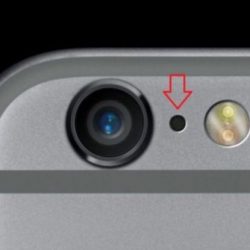 بمناسبة اليوم الوطني