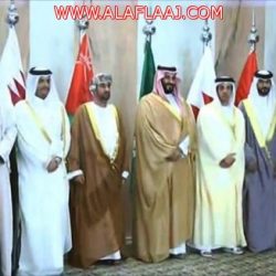 ولي عهد أبو ظبي يلتقي السيسي بالقاهرة