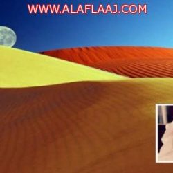 وزير المالية: جميع مستحقات القطاع الخاص ستسدد في أقرب وقت