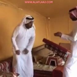 الزايد يعتمد توجيه 61 معلمة جديدة إلى مدارسهن