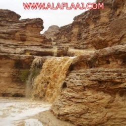 بالصور : مستشفى الأفلاج يحتفل بالمتقاعدين في بادرة هي الأولى