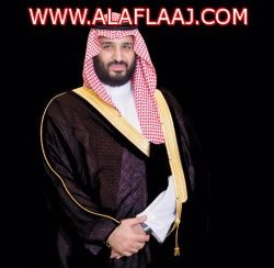 بالفيديو شاهد ماذا حدث في مونتريال بكندا مع بداية موسم الثلوج