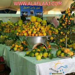 ال حسين يرأس إجتماع اللجنة الأمنية