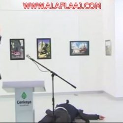 بالصور : زيارة أعضاء نادي مدرسة الإبداع إلى مدينة الهدار بالأفلاج