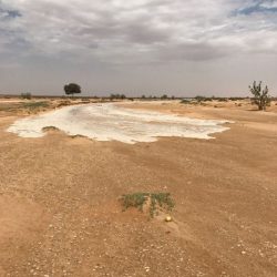 محافظ الأفلاج يستقبل رئيس التحرير الجديد ويدشن سناب صحيفة الأفلاج   