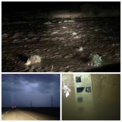 الدريهم يحصل على الدكتوراه