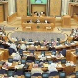 «الصحة»: أبناء المواطنات من أجنبي يحق لهم العمل في الوزارة بكل المميزات