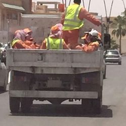 بالصور : مواطن في الأحمر يقتل صل أسود طوله 150سم