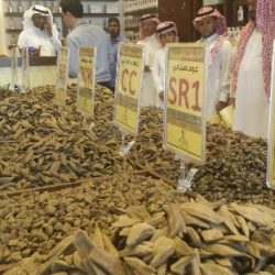 بالصور : قصة كفاح سبعة إخوة حتى حصولهم على شهادة الثانوية العامة
