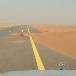 بالصور : الشاعران العثمان واللحيان يبدعان في سماء الرياض