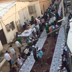 مسلسل حوادث الجمال السائبة على طريق الهدار ما زال مستمراً
